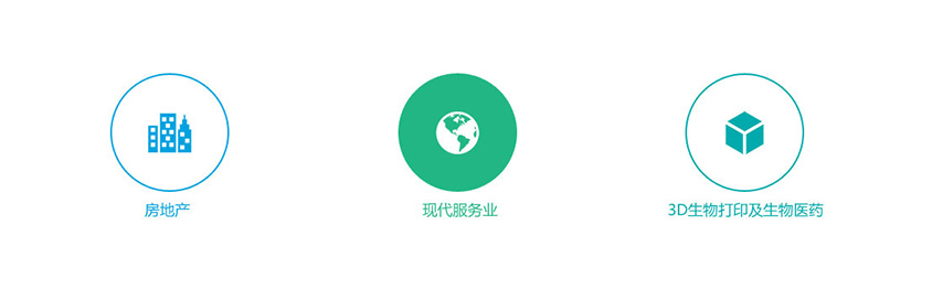 蓝光发展股份公司网站建设