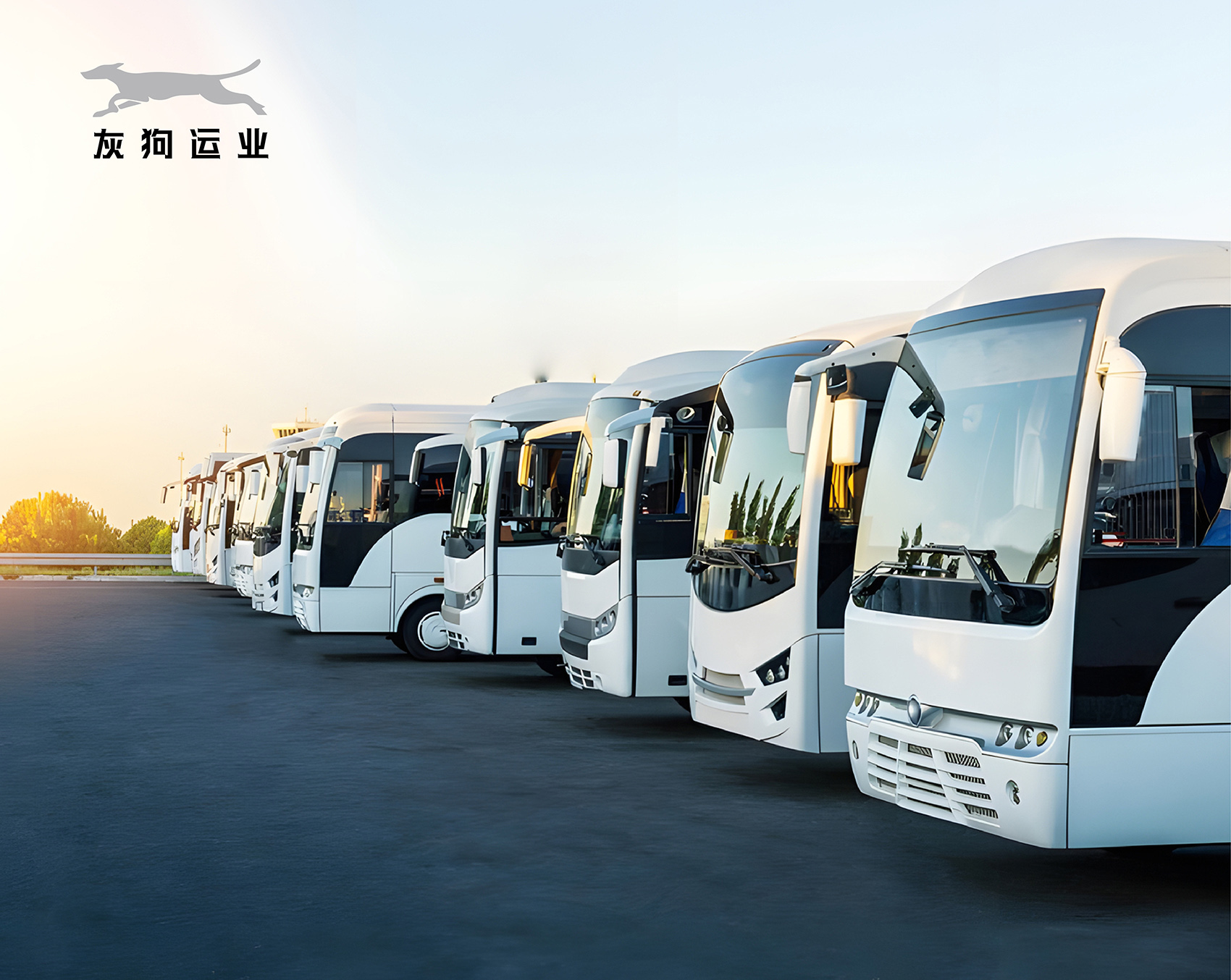 成都灰狗运业有限公司