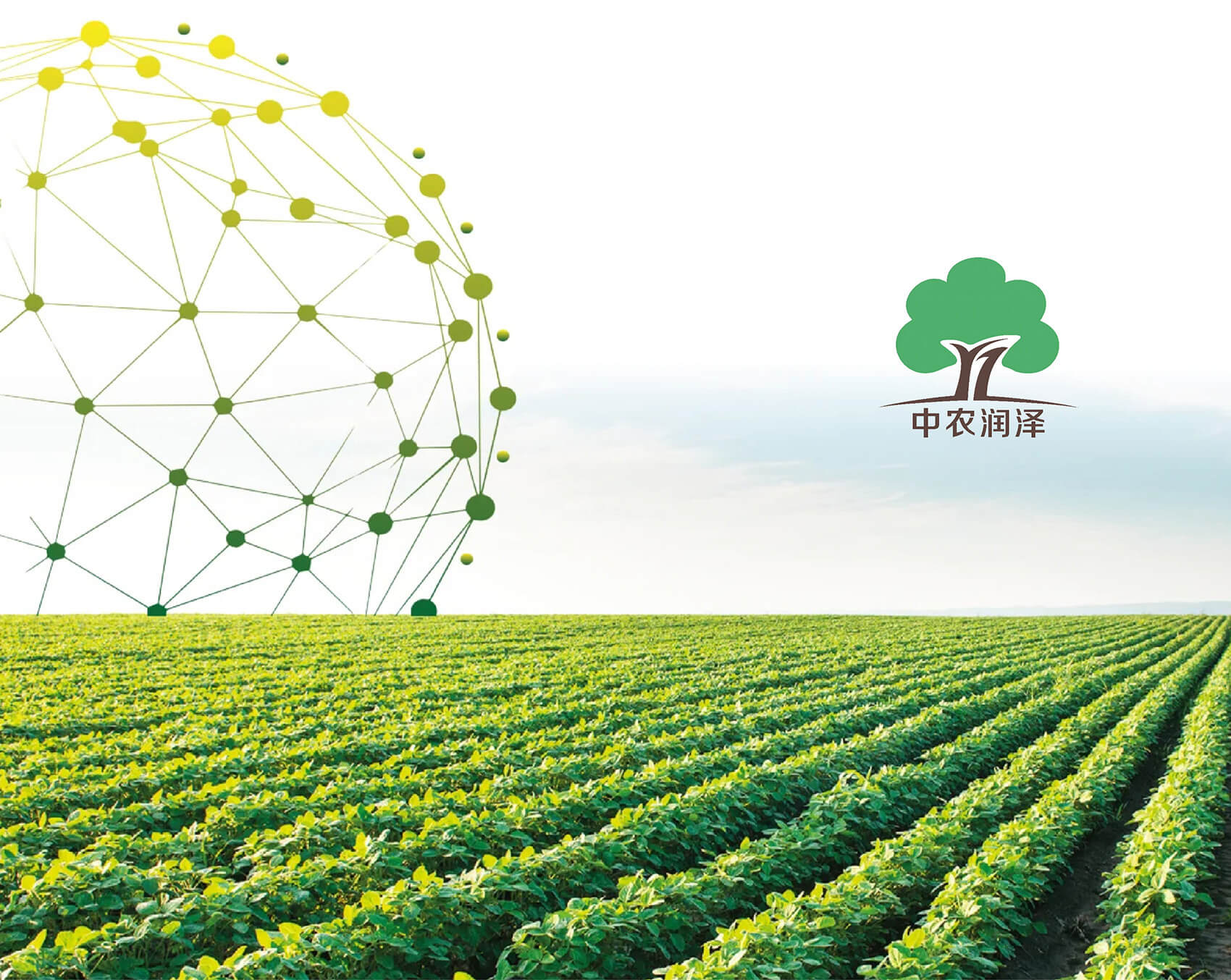 四川中农润泽生物科技有限公司