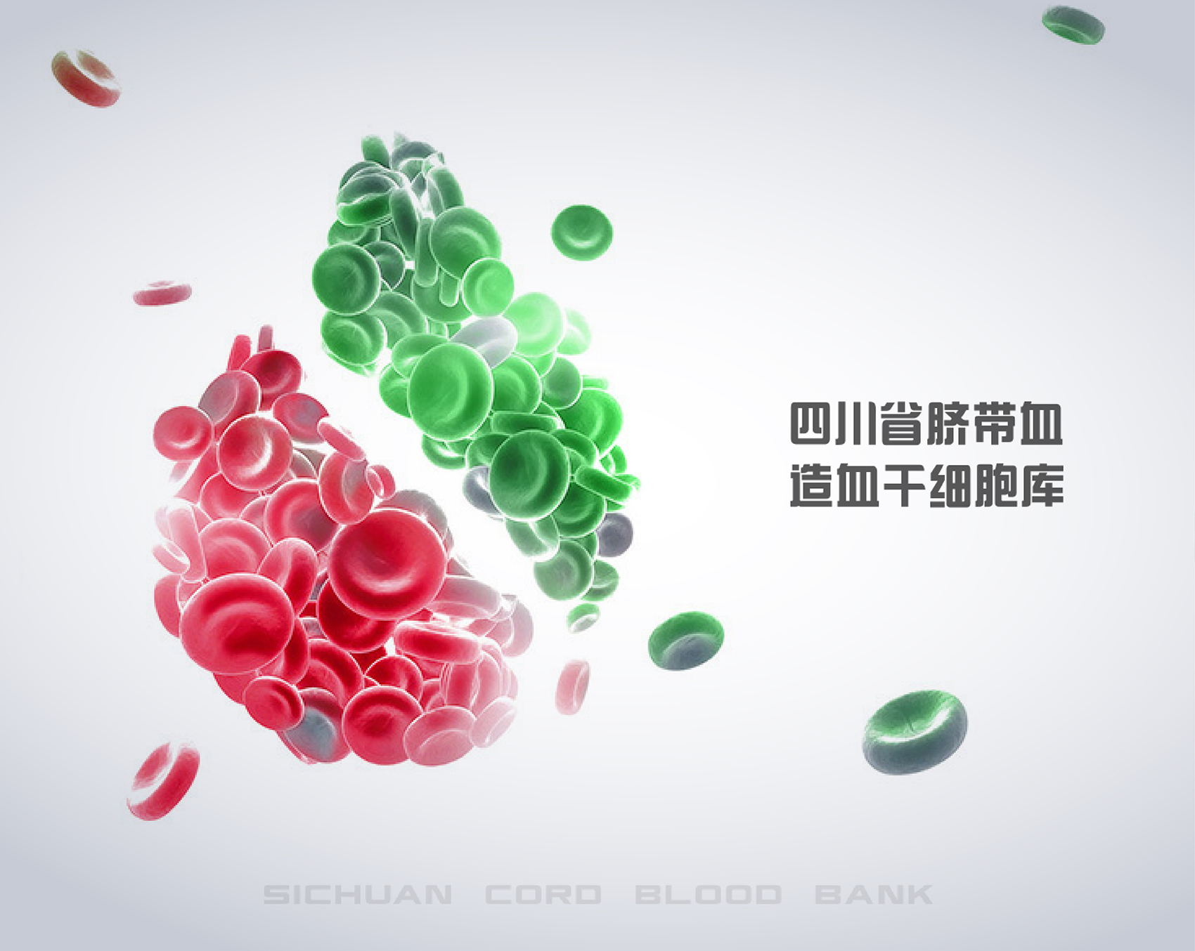 四川新生命干细胞科技股份有限公司&脐带血