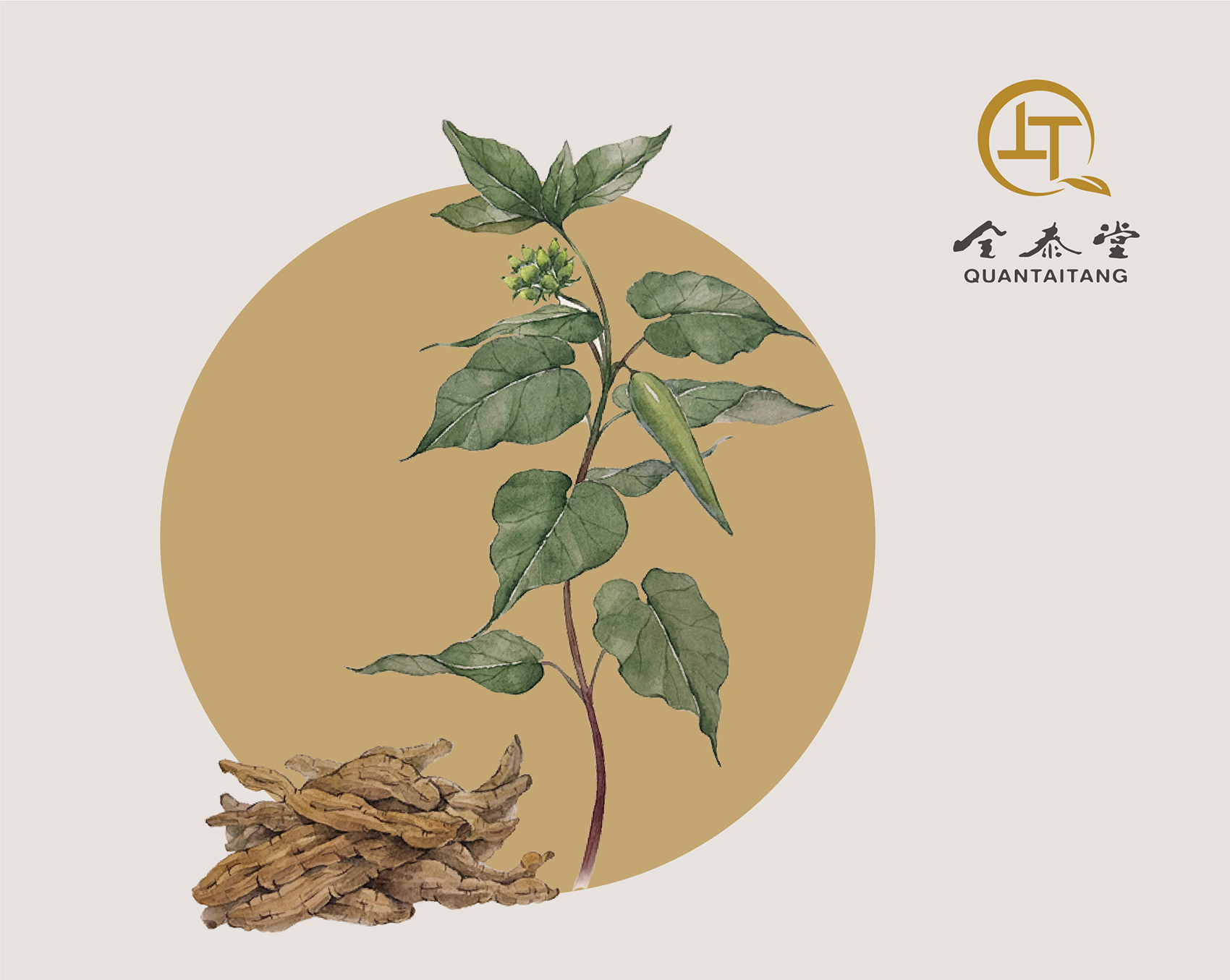 全泰堂集团有限公司