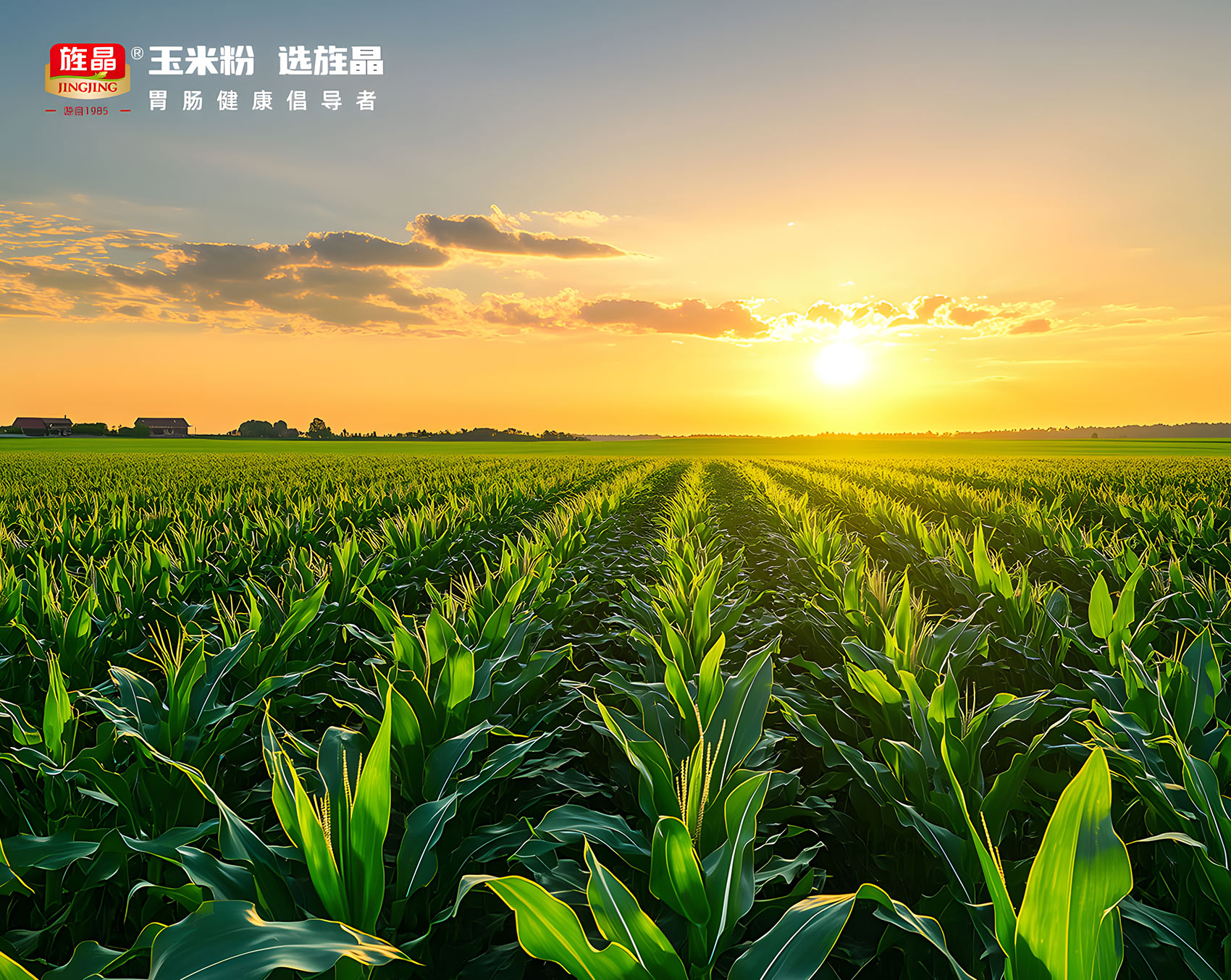 四川省旌晶食品有限公司
