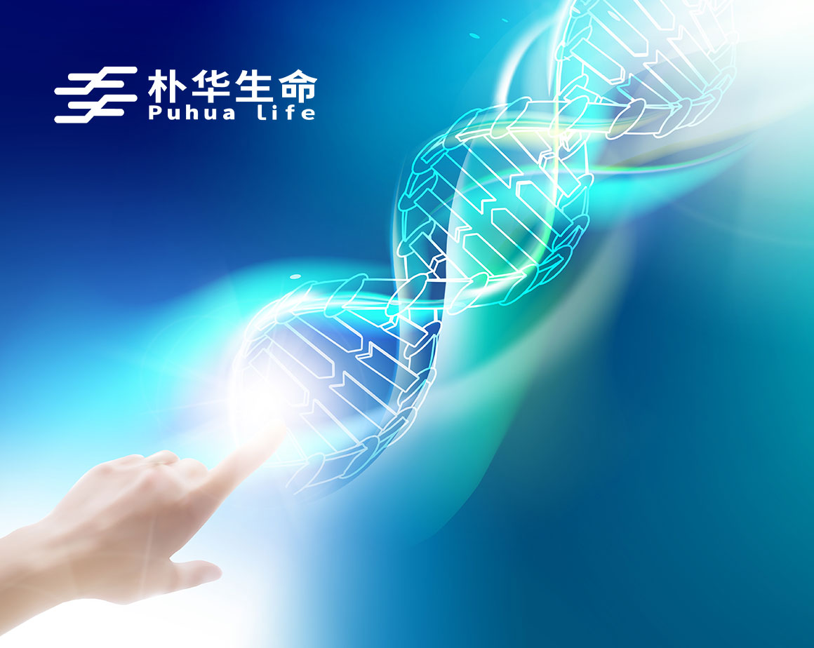 成都朴华科技有限公司